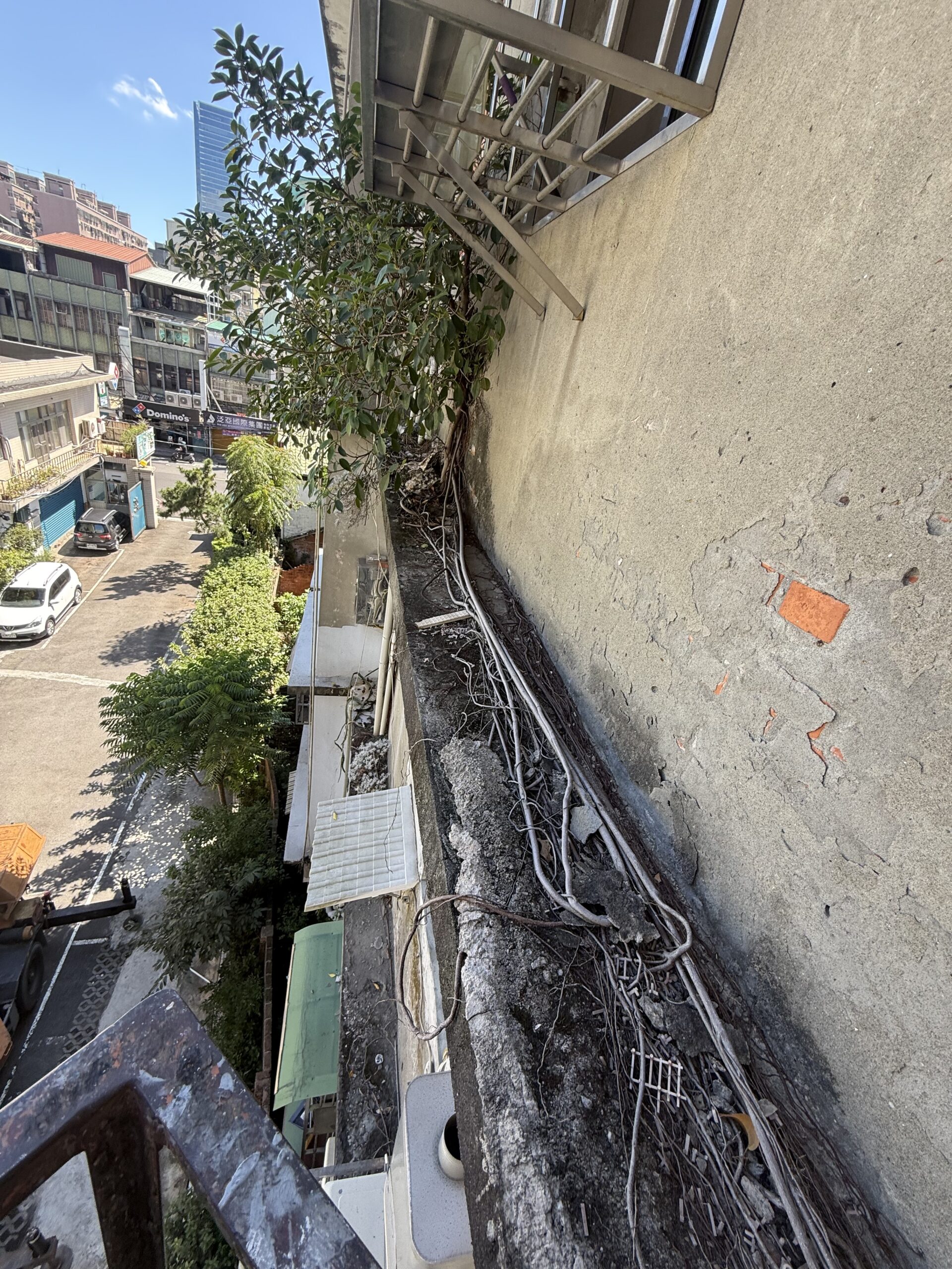 新北市新莊區公寓外牆除樹補牆工程施工