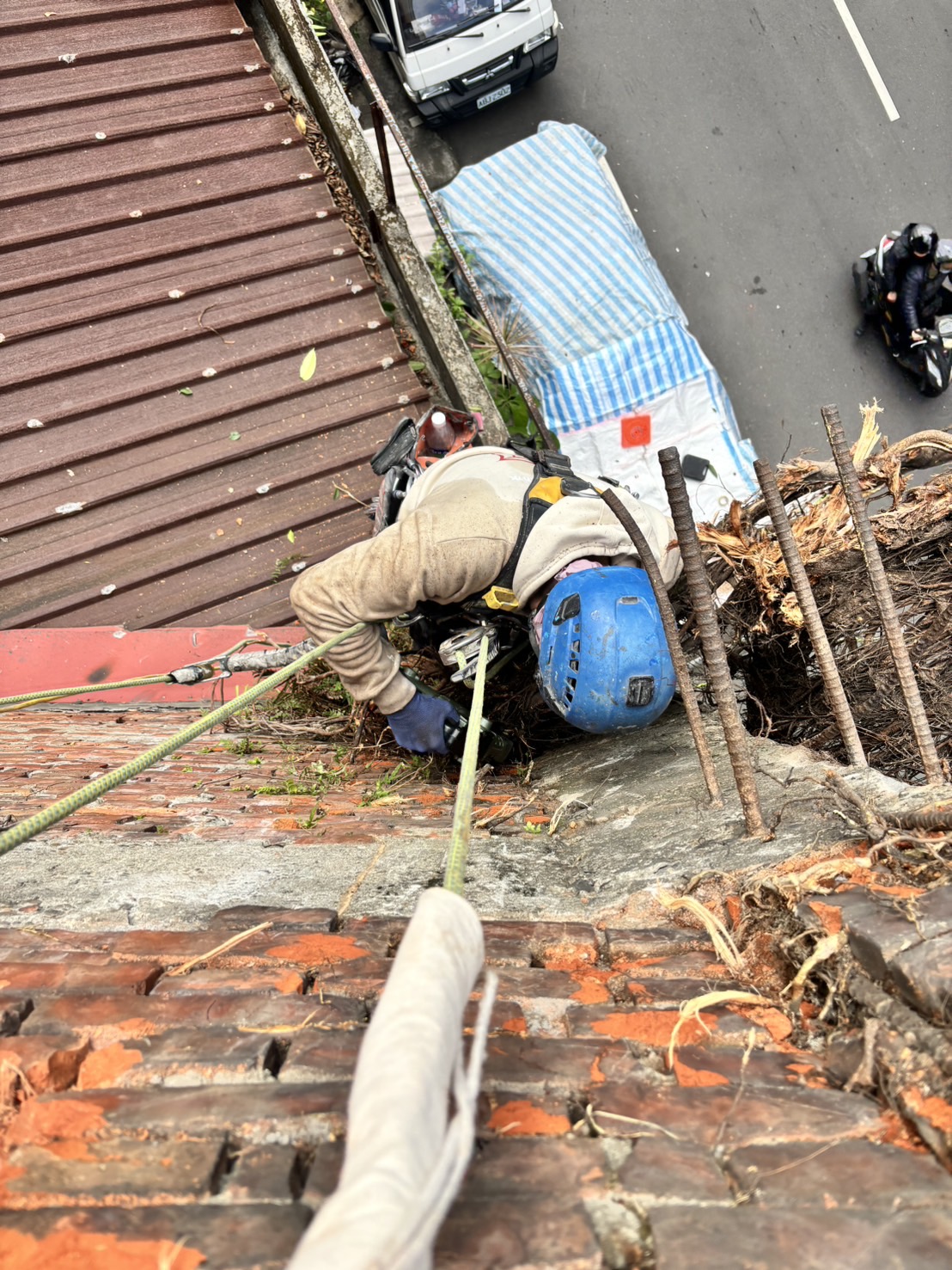 外牆除樹一定要用吊車嗎？施工方式怎麼選