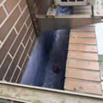 桃園市桃園區社區外牆除樹工程施工